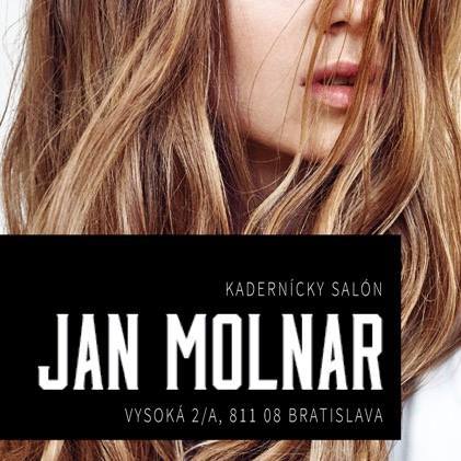 JAN MOLNAR Gallery salon logo