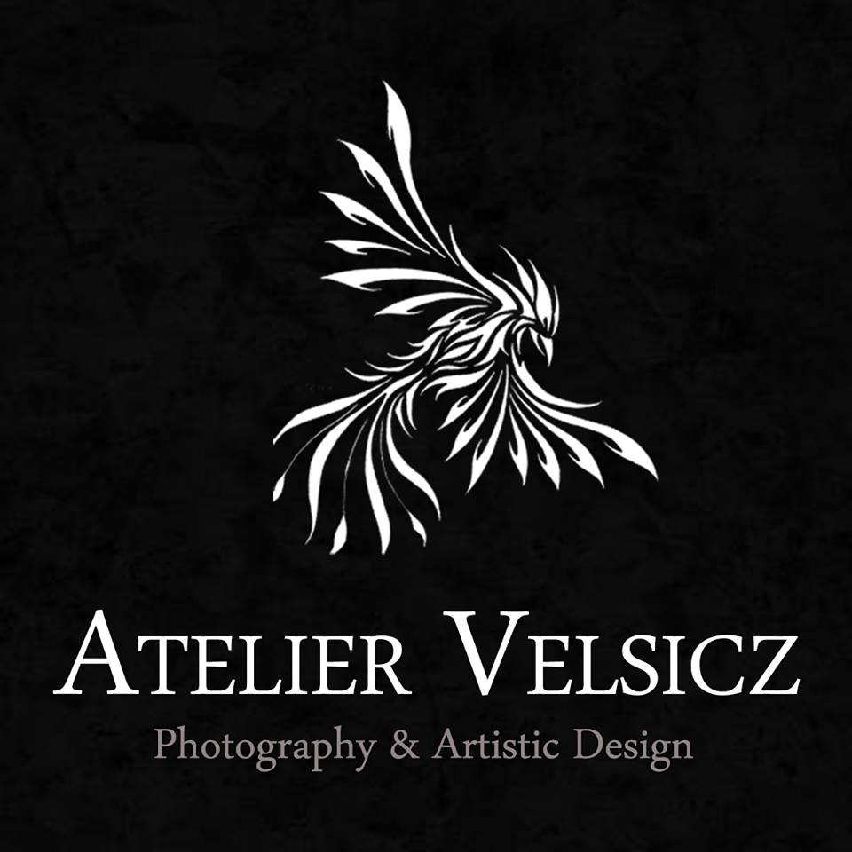 VELSICZ PHOTOGRAPHY & ARTISTIC DESIGN logo