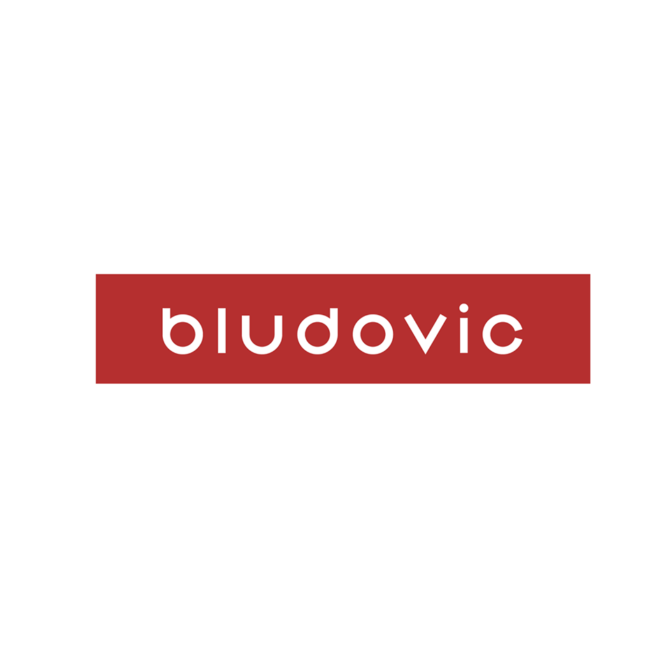 BLUDOVIC - Tvorba webstránok  logo