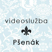 Ing. Ján Pšenák - Videoslužba logo
