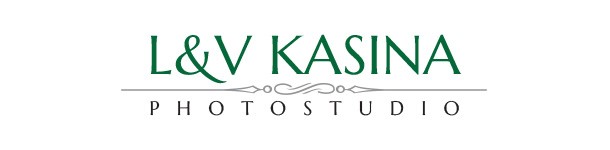 L&V KASINA logo